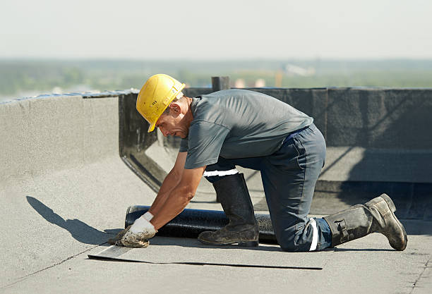 Best DIY Insulation Kits and Guidance in Fairlawn, OH